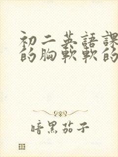 初二英语课代表的胸软软的