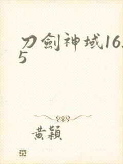 刀剑神域16.5