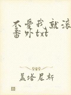 不爱我就滚全文番外txt