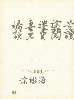 娇妻迷途兮夜小说免费阅读封面