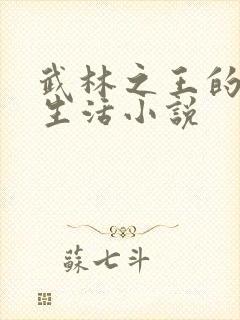 武林之王的退隐生活小说