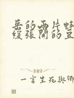 岳的两片蚌肉缓缓张开的豆瓣评分