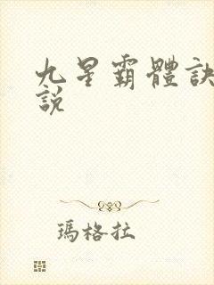 九星霸体诀 小说