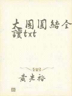 大团圆结全文阅读txt