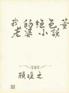 我的绝色董事长老婆 小说