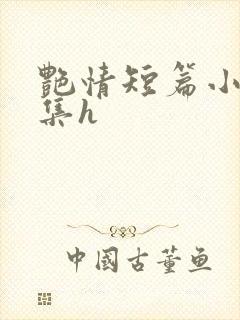 艳情短篇小说合集h