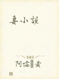 妻小说