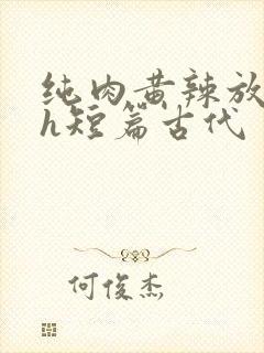 纯肉黄辣放荡高h短篇古代