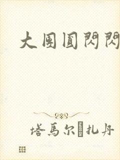 大团圆闪闪发光封面