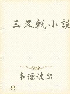 三叉戟小说封面