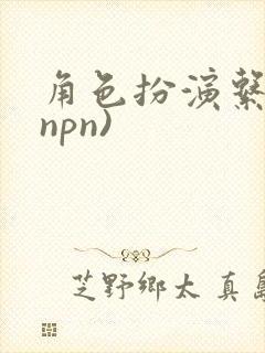 角色扮演系统(npn)封面
