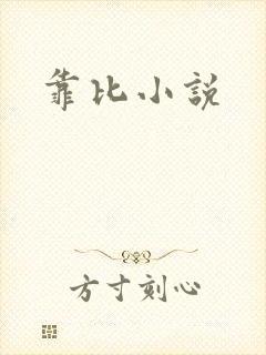 靠比小说