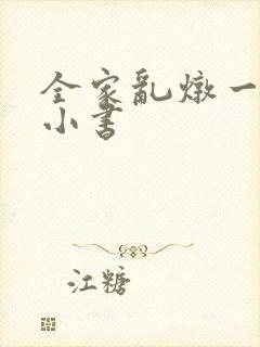 全家乱炖一锅烩小书