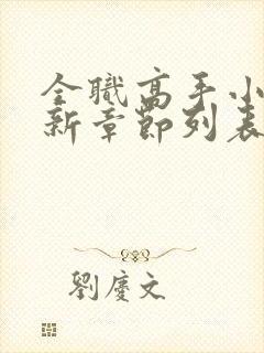 全职高手小说最新章节列表最