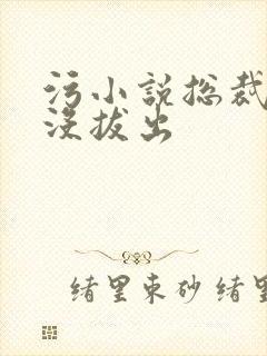 污小说总裁整夜没拔出封面