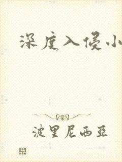 深度入侵小说