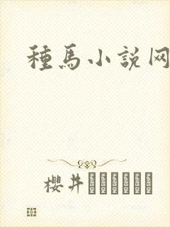 种马小说网