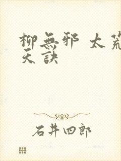 柳无邪 太荒吞天诀