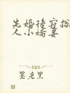 先婚后宠总裁大人小娇妻