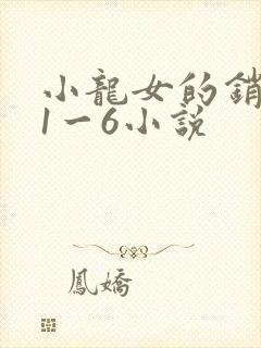 小龙女的销魂夜1一6小说封面