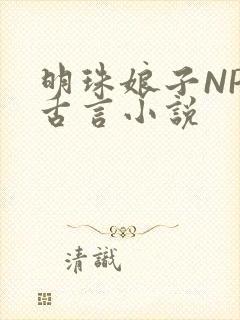 明珠娘子NPC古言小说