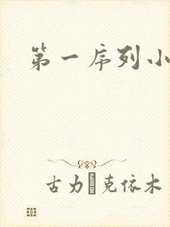 第一序列小说