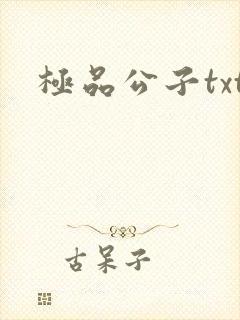 极品公子txt