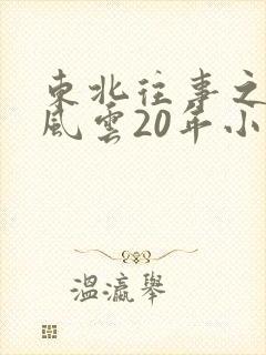 东北往事之黑道风云20年小说封面