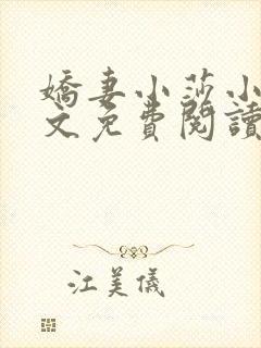 娇妻小莎小说全文免费阅读