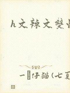 h文辣文双性封面