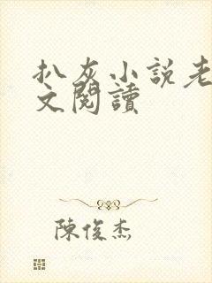 扒灰小说老马全文阅读