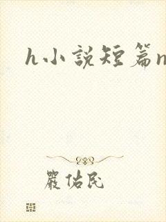 h小说短篇np