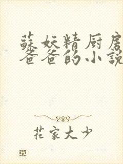 苏妖精厨房爹爹爸爸的小说