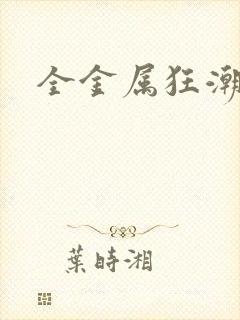 全金属狂潮小说封面