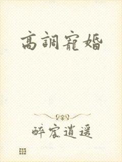 高调宠婚