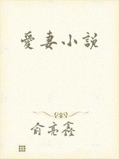 爱妻小说