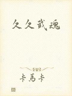 久久武魂封面