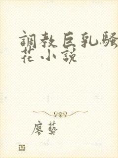 调教巨乳骚奶校花小说封面