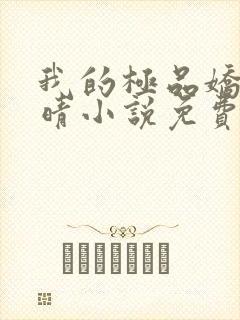 我的极品娇妻苏晴小说免费阅读封面