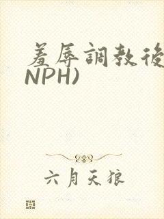 羞辱调教后宫(NPH)