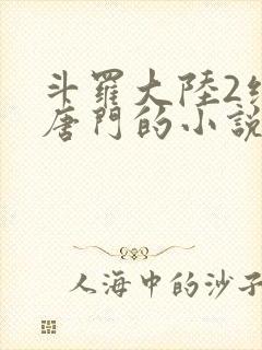 斗罗大陆2绝世唐门的小说