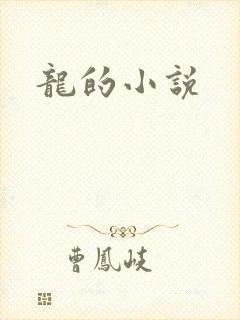 龙的小说封面