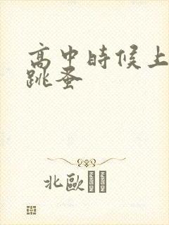 高中时候上课带跳蚤封面