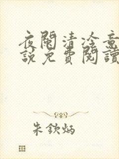 夜阑清冷意欢小说免费阅读