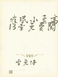 催眠小柔高达第13章免费阅读