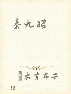 秦九昭封面