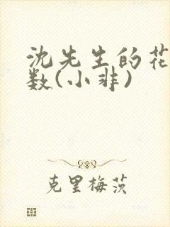 沈先生的花式调数(小非)