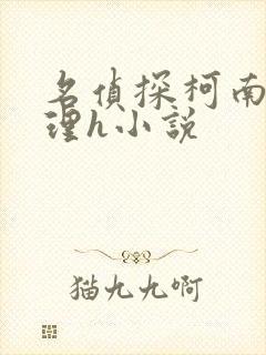 名侦探柯南妃英理h小说