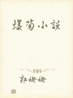 爆菊小说
