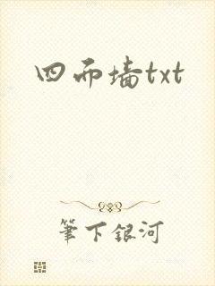 四面墙txt封面